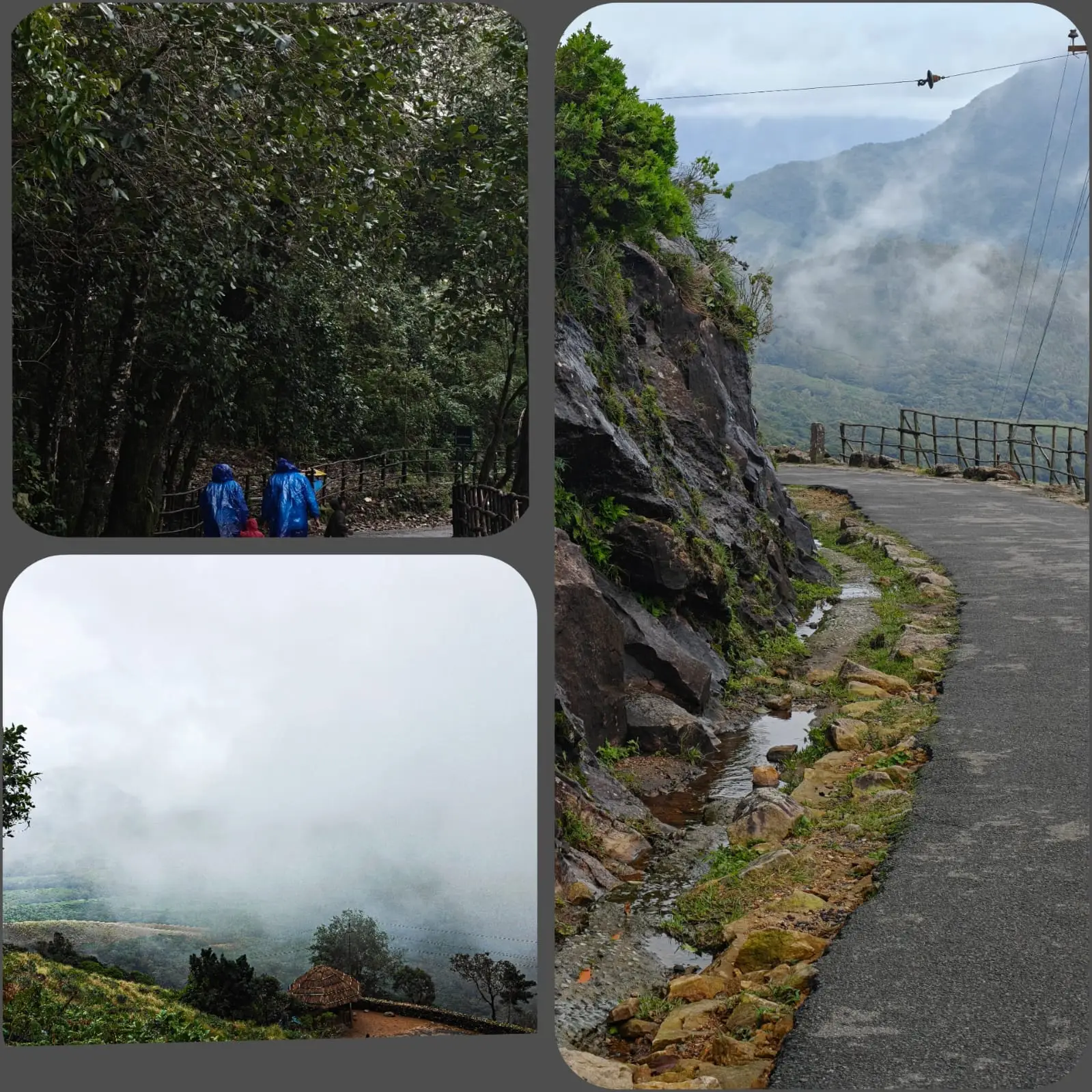 Art Competition - photo 2