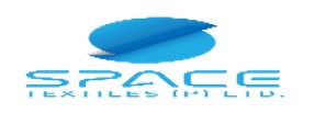 Space logo