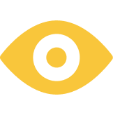 Vision Icon